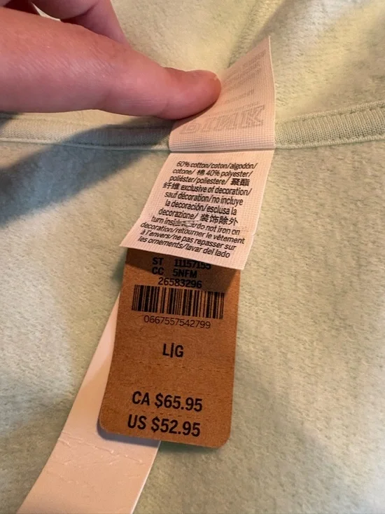 NWT Victoria's Secret PINK Mint Green Hoodie Sweater NEW Size Large L Casual Fun - Picture 7 of 8